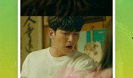 刘云爆料视频大全下载免费,揭秘幕后真相，免费下载一网打尽